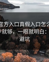 爱游戏官方入口真假入口怎么分？我做了两步就够，一眼就明白：4个快速避坑