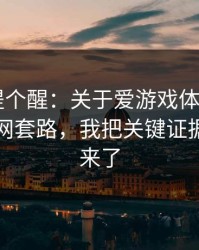给你们提个醒：关于爱游戏体育app的伪装官网套路，我把关键证据整理出来了