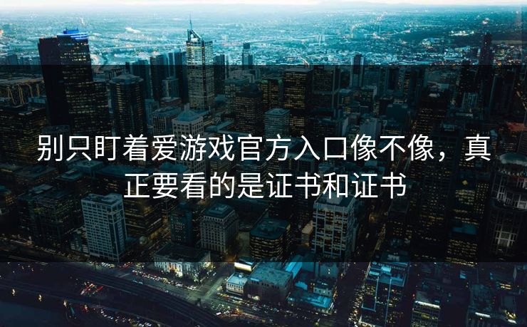别只盯着爱游戏官方入口像不像，真正要看的是证书和证书